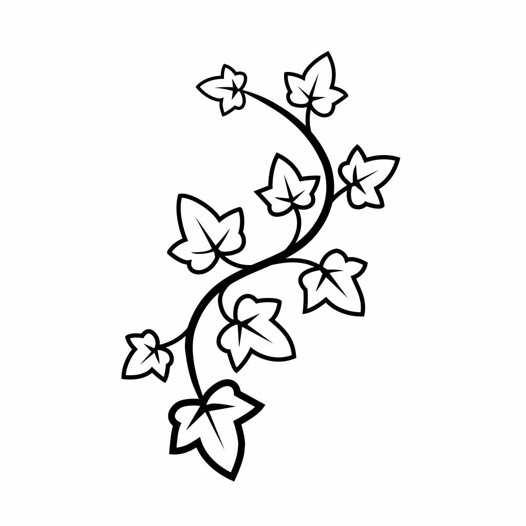 Ivy Leaf Vine Line Art Vector | Botanical Floral SVG for Crafts
